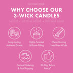 Odor Eliminating Dragonfruit Splash 3-Wick Candle