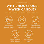 Odor Eliminating Drenched Coconut  3-Wick Candle