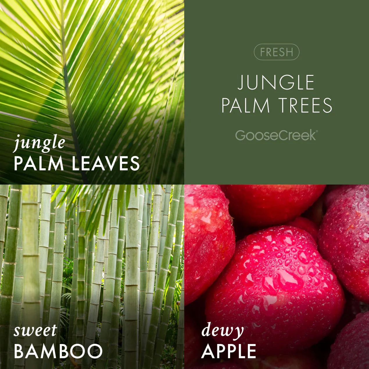 Jungle Palm Trees 3-Wick Candle
