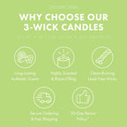 Wild Green Apple 3-Wick Candle