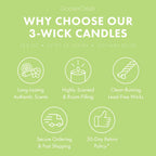 Odor Eliminating Wild Green Apple 3-Wick Candle