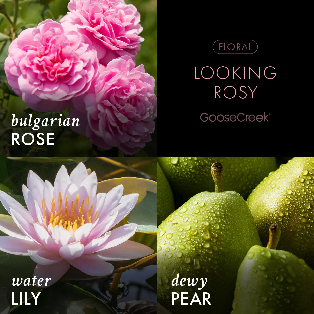 Looking Rosy 3-Wick Candle