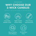 Welcome to Bikini Bottom 3-Wick Candle