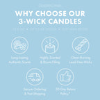 Just Showered 3-Wick Candle
