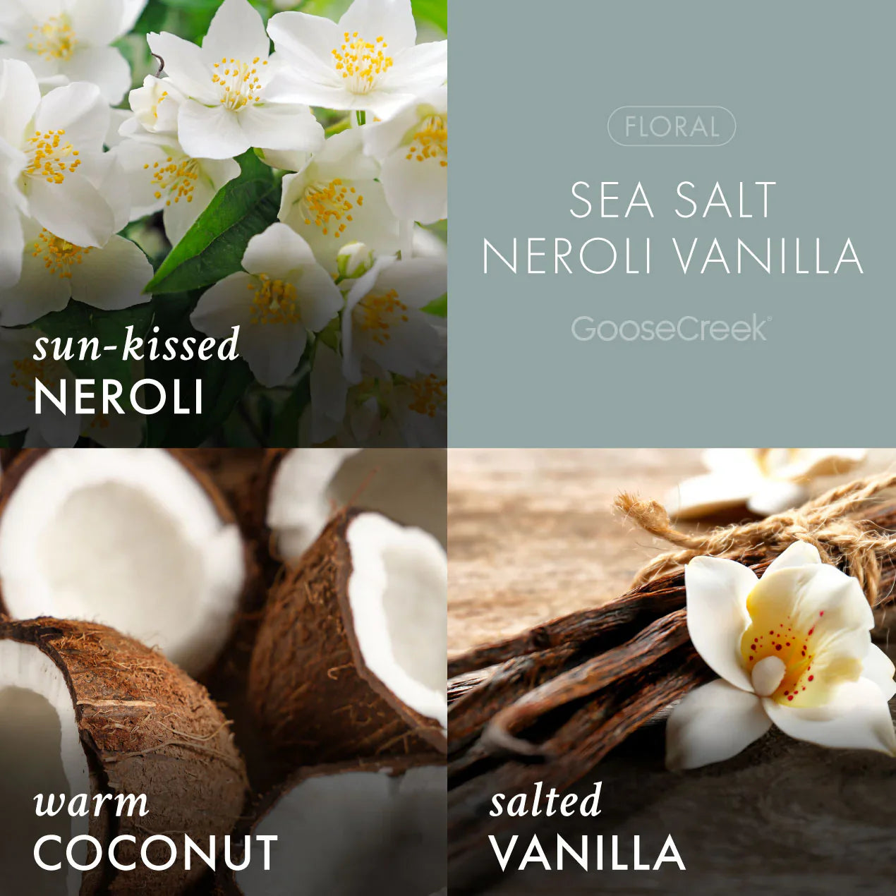 Sea Salt Neroli & Vanilla 3-Wick Candle